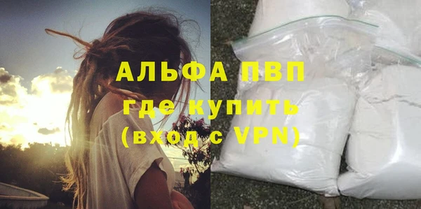 PSILOCYBIN Лагань